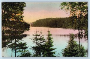 Itasca State Park Minnesota MN Postcard East Arm Lake Itasca Scene c1940 Vintage