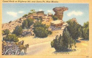 Camel Rock Highway 285 near Santa Fe, New Mexico 1950 Linen Vintage Postcard