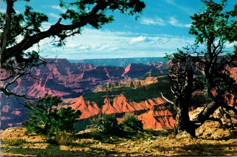 Arizona Grand Canyon National Park South Rim Fred Harvey | United ...