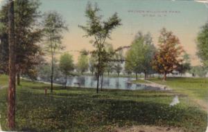 New York Utica Scene In Watson Williams Park 1913