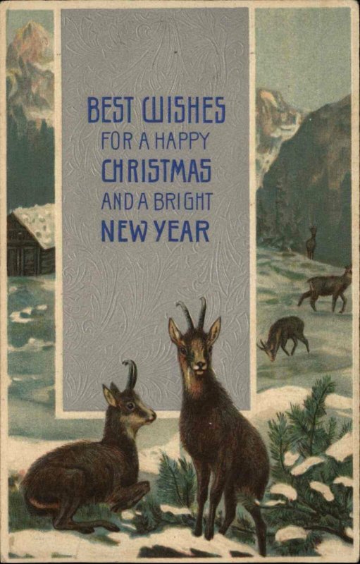 Christmas New Year Deer Herd Vintage c1910 Postcard 