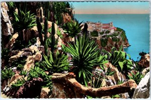 c1930s Monaco RPPC Exotic Garden La Cote d'Azur Le Rocher Cacti Succulents A348