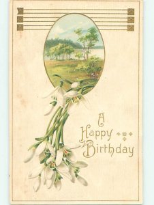 Divided-Back birthday BEAUTIFUL WHITE FLOWERS & LAKE SCENE o8976