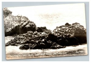 Vintage Early 1900's RPPC Postcard Seals Cliff House San Francisco UNPOSTED
