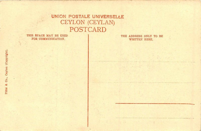 Kandy Ceylon c1910 Postcard Temple of The Holy Tooth