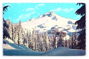 Winter Wonderland Rocky Mountains Colorado c1972 Postcard