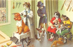 F86/ Alfred Mainzer Signed Postcard Dressed Cats Comic c50s Pet Grooming 12