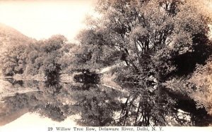 Willow Tree Row Delhi, New York Postcard