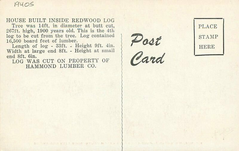 California Straughan's Log House redwood Empire 1940s Postcard 20-9879