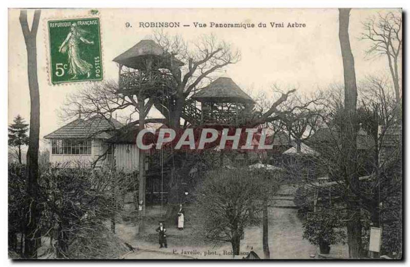 Robinson Old Postcard Panoramic view of the real tree