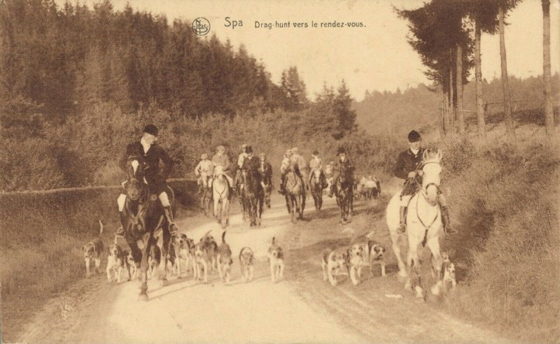 Belgium Spa Drag hunt vers le rendez-vous Jacht Hunting Dogs Postcard 03.32