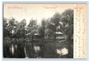 C. 1900-07 Apple Dene Cottage Lake Lamoka N.Y. Postcard P213E