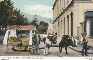 MADEIRA , Funchal , Portugal , 00-10s ; Carro de bois