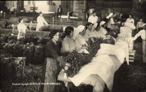 Garachico Tenerife Women Working Agriculture Bananas Canary Islands c1915 RPPC