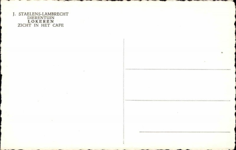 LOKEREN BELGIUM Zicht in Het Caf� CAF� INTERIOR RPPC Real Photo Postcard