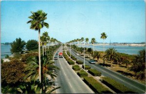Florida Causeway To Clearwater Beach 1961