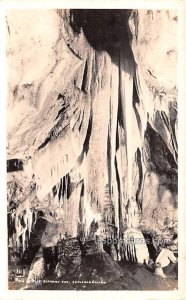 Elephant Ear in Carlsbad Caverns, New Mexico