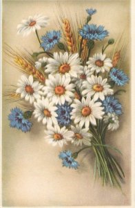Daisy flowers bouquet greetings postcard
