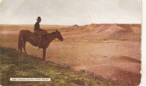 Cowboy on horse. Sunrise at the Cattle Range  Vintage American Postcard