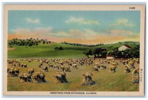 c1950's Greetings From Effingham Illinois IL Farmland Nature Scene Postcard