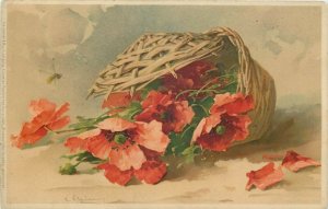 C. Klein signed poppy flowers 1900s artist postcard