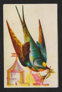 VICTORIAN TRADE CARDS (2) Stock Cards Birds