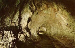 HI - Hawaii Volcanoes National Park, Thurston Lava Tube