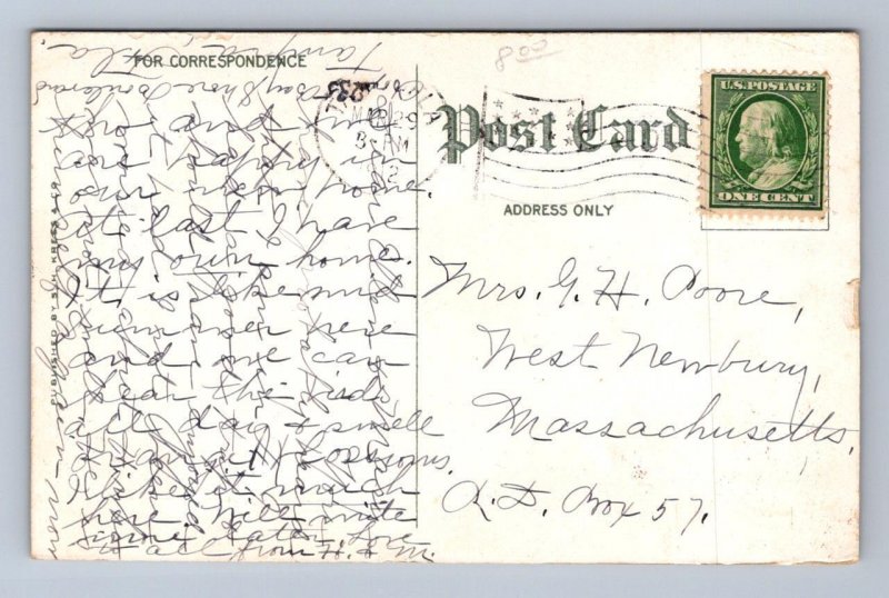 SCENE ALONG BAYSHORE BOULEVARD TAMPA FLORIDA TRAIN / TROLLEY POSTCARD 1912