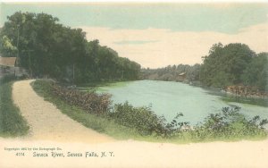 Seneca Falls NY Seneca River UDB Rotograph Litho Postcard Unused