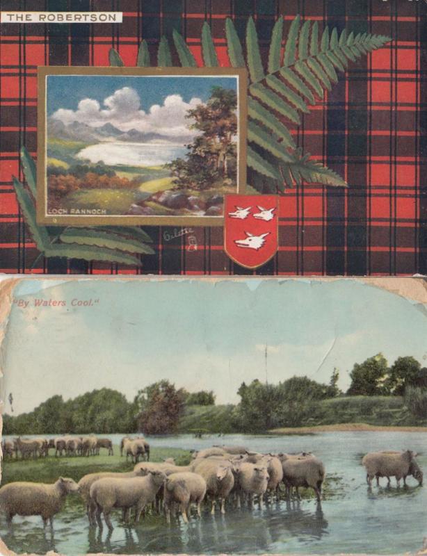 Tartan Loch Bannoch WW1 Wartime Scottish Sheep Bathing 2x War Postcard s