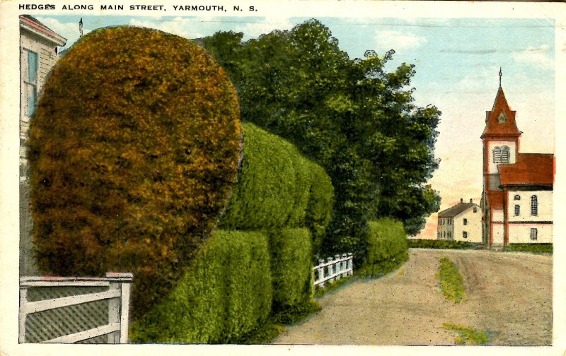 Canada - Nova Scotia, Yarmouth. Hedges Along Main Street