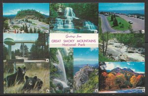 Tennessee - Greetings From Great Smokey Mountains - [TN-078]