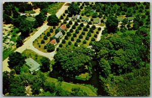 Tavares Florida 1960s Postcard Lane Park Cottages