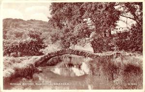 uk15897 roman bridge blackpill swansea real photo uk