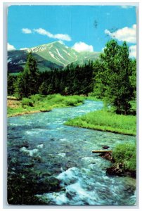 1958 Mt. Elbert from Half Moon Creek Near Leadville Colorado CO Postcard