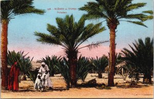 Algeria Scènes et Types Palmiers Vintage Postcard C163