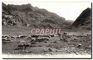 Old Postcard The Dauphine Vallon Pra da view taken Chatet Pra Sheep