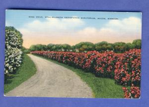 Macon, Missouri/MO Sample Postcard,Still-Hildreth Sanatorium