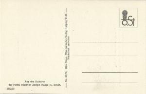 Cactus Cactaceae, Ariocarpus Trigonus K. Schumann (1920s) Otto Stoye Postcard