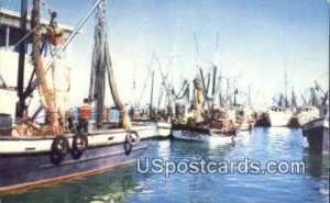 Shrimp Fleet - Key West, Florida FL