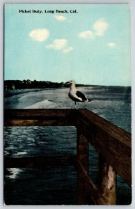 Long Beach California~Picket Duty~Seagull Perched On Dock Fence~Vintage Postcard