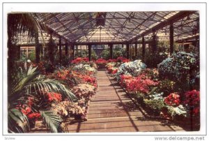 Interior, Beautiful Longwood Gardens, Wilmington, Delaware, PU-40-60s