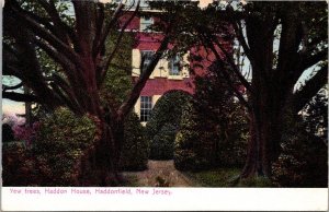 New Jersey Highlands Haddon House The Yew Trees