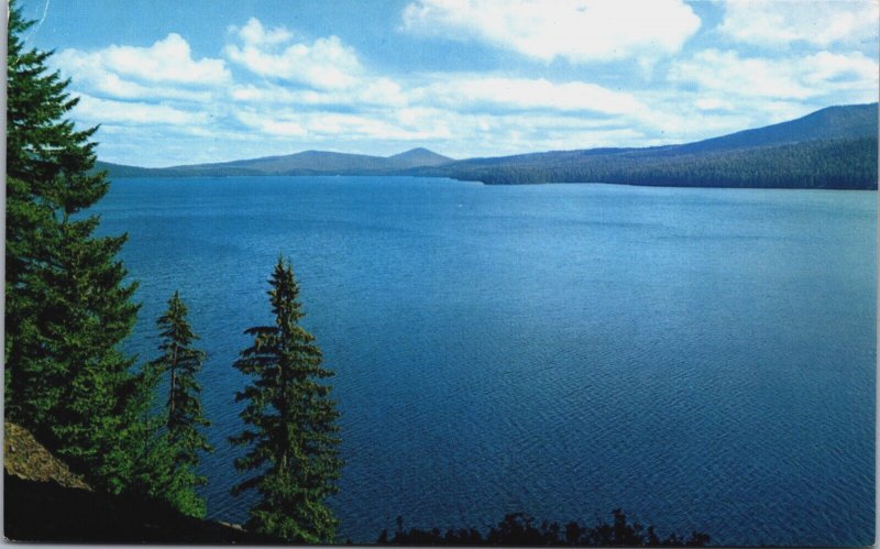 Odell Lake Oregon Chrome Postcard C115
