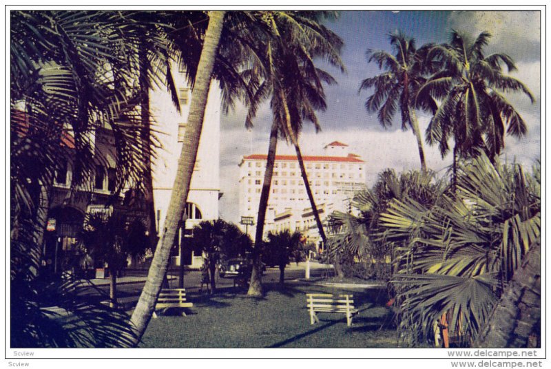 Popular Vacation and Residential Area, Palm Trees, West Palm Beach, Florida, ...