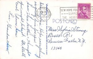 Kitten with Yarn Cat 1964 