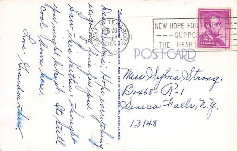 Kitten with Yarn Cat 1964 