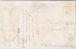 Tobogganing Rosedale Toronto ON Ontario Postcard F67