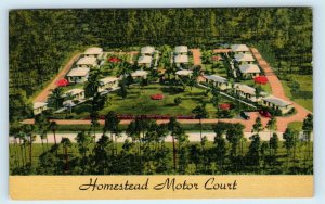 HOMESTEAD, FL Florida ~ Homestead MOTOR COURT 1955 Miami-Dade County Postcard