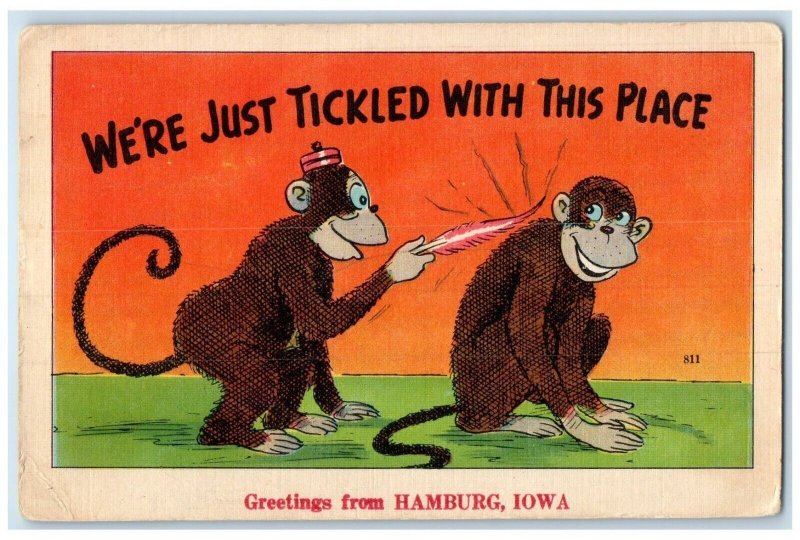 1949 Greetings From Hamburg Iowa Monkeys Animals Posted Antique Vintage Postcard